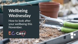 Wellbeing Wednesday Nature Network
