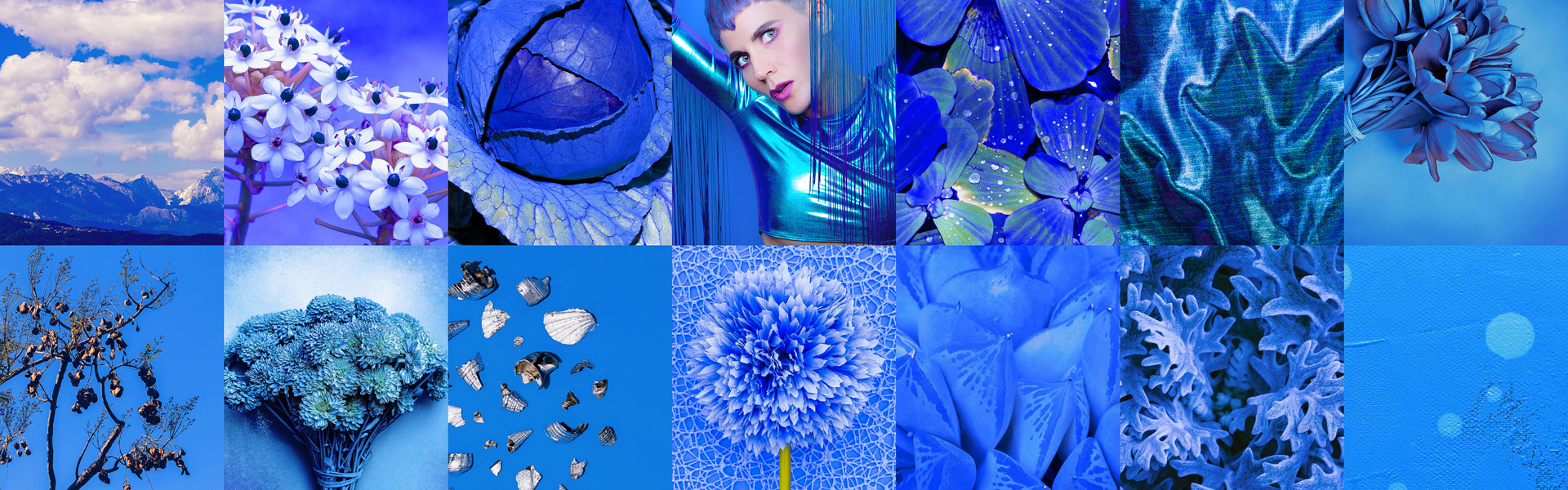 Adobestock 510218716