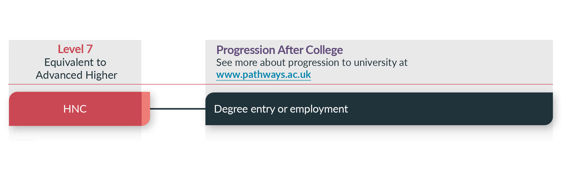 Flow chart showing how different qualifications levels connect.
