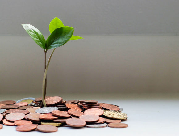 Small tree growing out of a stack of coins on a desk to symbolise a money tree concept.
