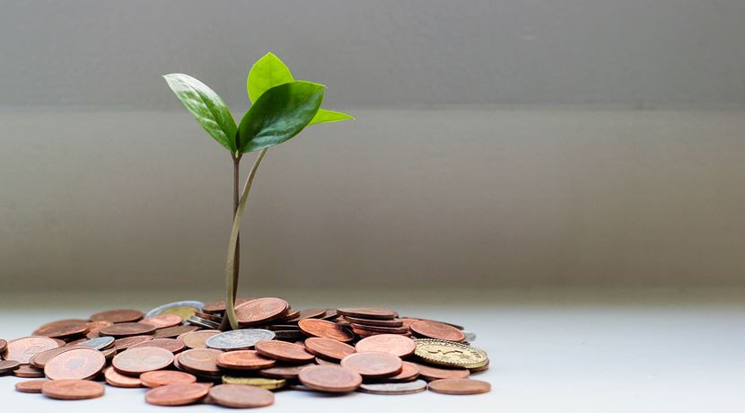 Small tree growing out of a stack of coins on a desk to symbolise a money tree concept.